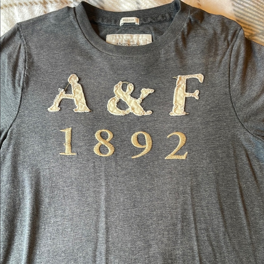 Abercrombie & Fitch Gray T-Shirt